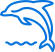 游泳教学